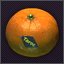 Tangerine